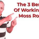 The 3 Benefits Of Working With Moss Roofing