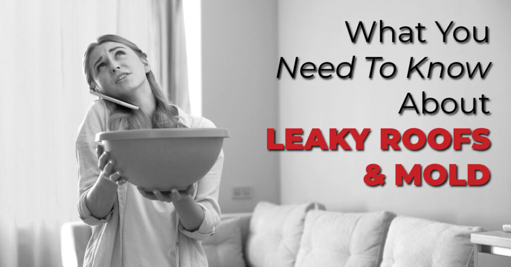 What You Need To Know About Leaky Roofs And Mold
