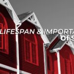 The Lifespan And Importance Of Siding