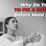 Why Do You Need To Fix A Roof Leak Before Mold Sets In?