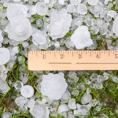 Hailstones measuring 1" with a ruler.