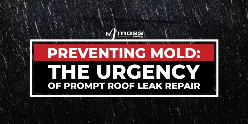 Moss Roofing: Preventing Mold