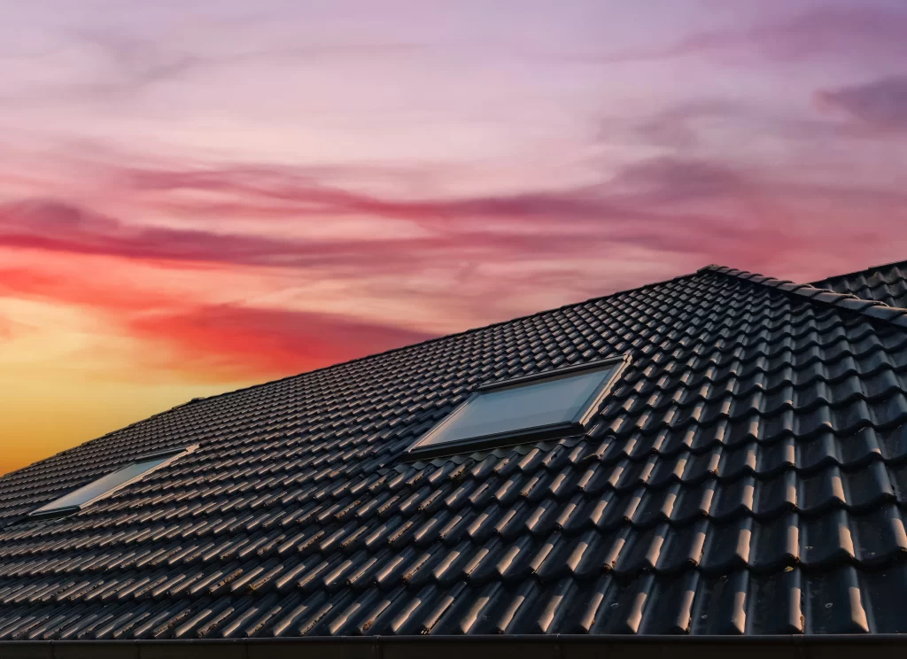 residential home with skylights