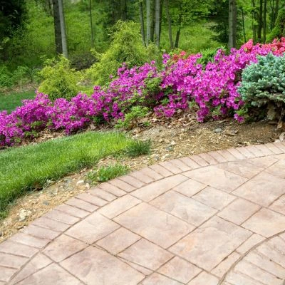 Natural stone patio with rectangular pavers bordered by colorful azalea flowers and lush landscaping