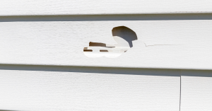 Understanding Siding Repair: What Homeowners Need to Know