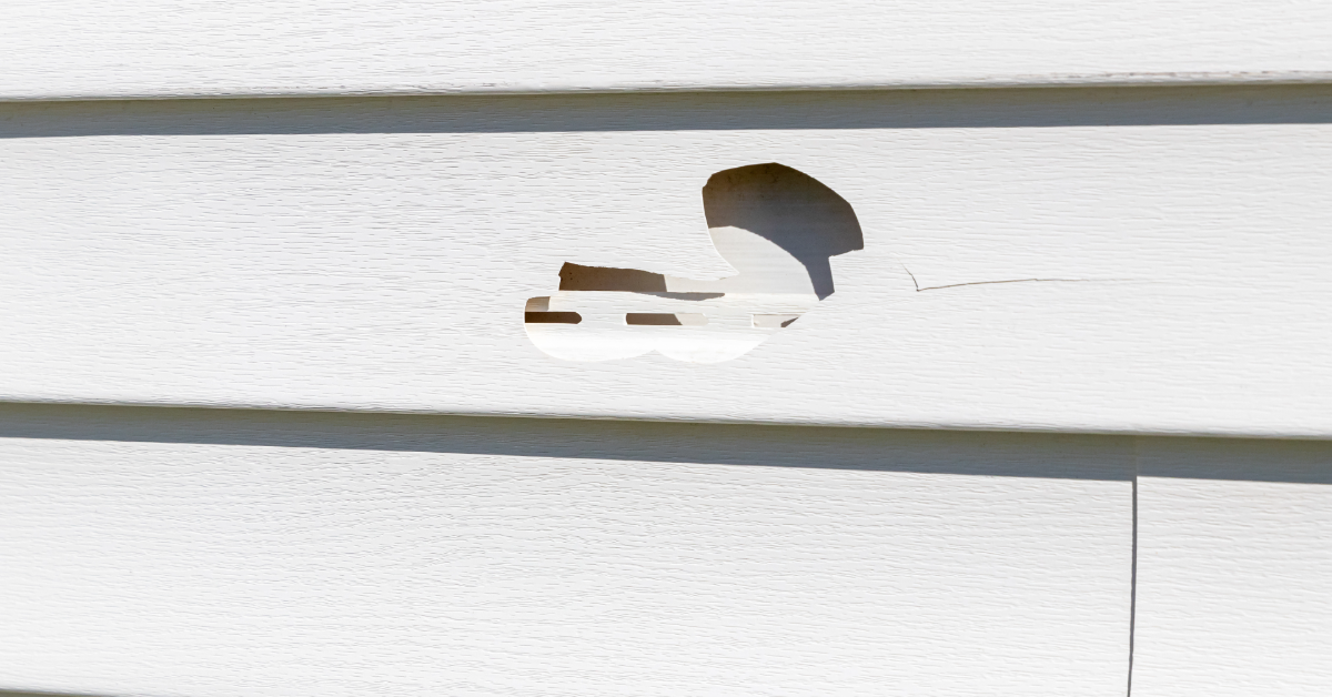 Understanding Siding Repair: What Homeowners Need to Know