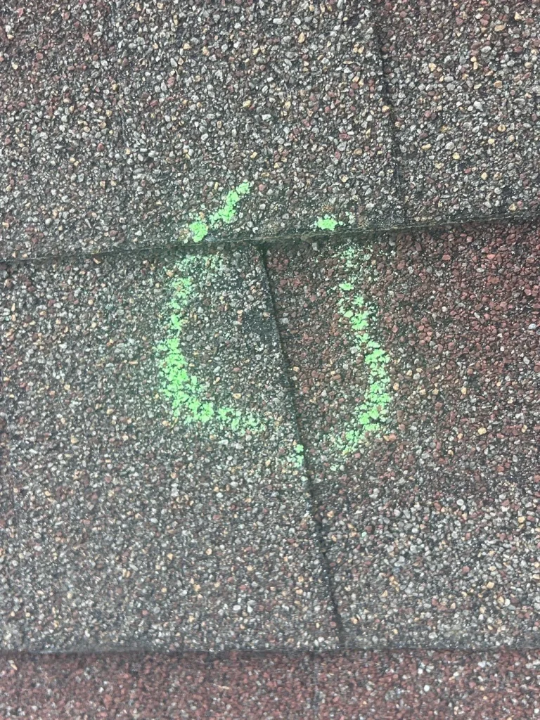 hail damaged shingle