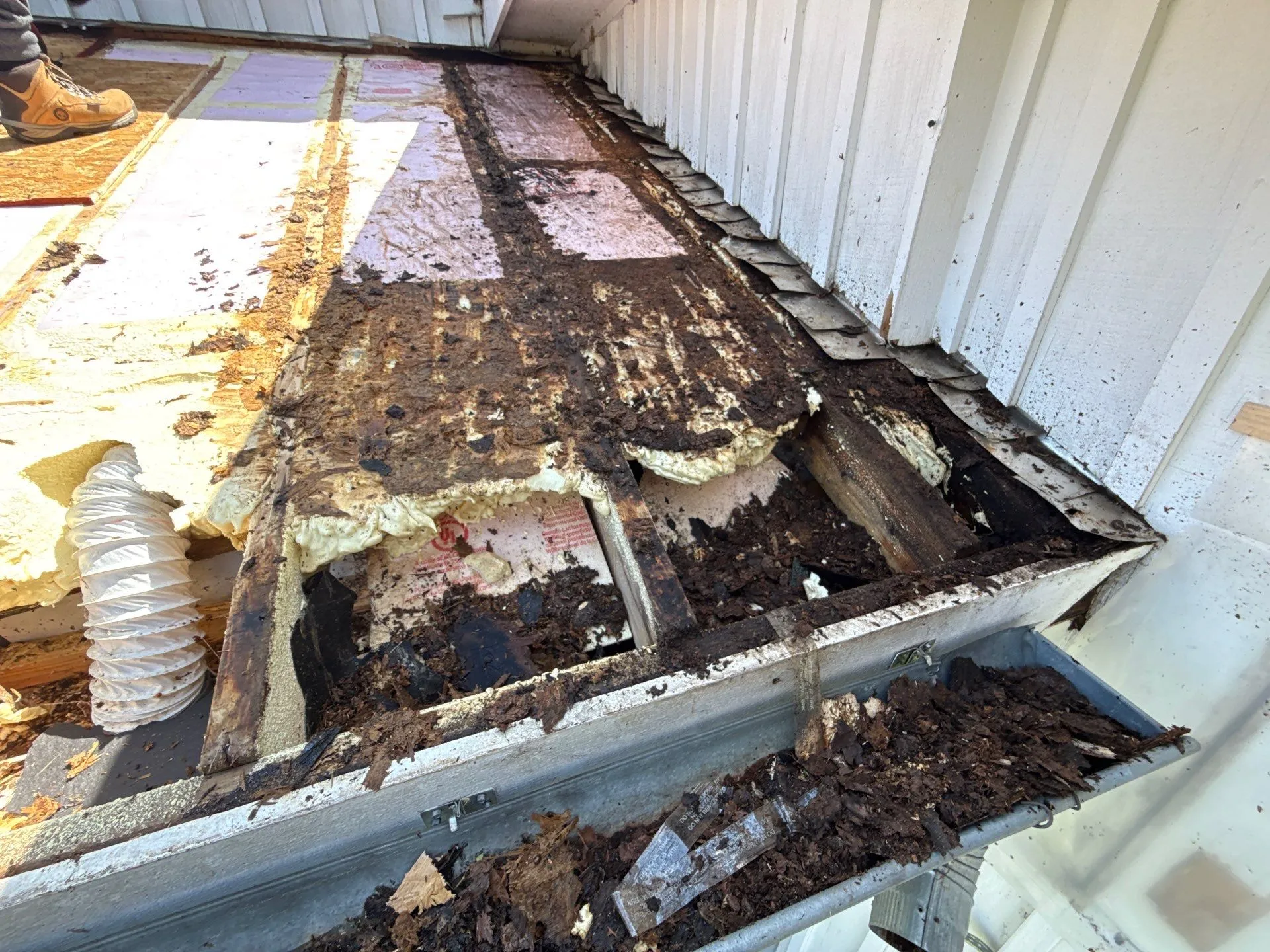 damaged roof decking beneath shingles after tear off