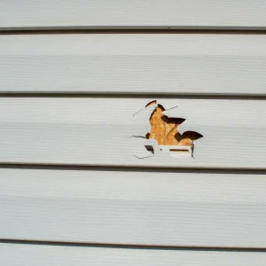 Damage in the vinyl siding on a house.