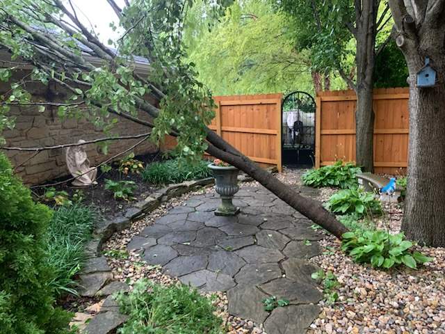 Large fallen tree fallen on a home after a Danville storm damage roof event in Indiana