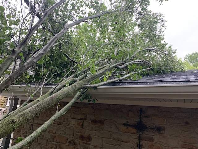 Falling tree damaging roof and gutters after a Danville storm damage roof event in Hendricks County Indiana